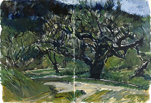 Olive Trees, Bargemon