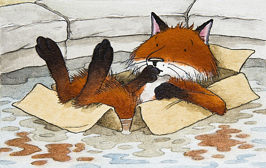 The Fox In His Cardboard Boat. Luckily the Pond Isn't Very Deep