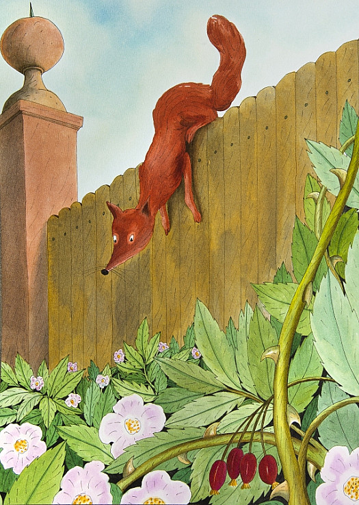 The Fox and the Rose Bush