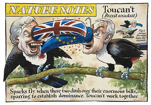 Nature Notes
Toucan't (Brexit Wrecksit)