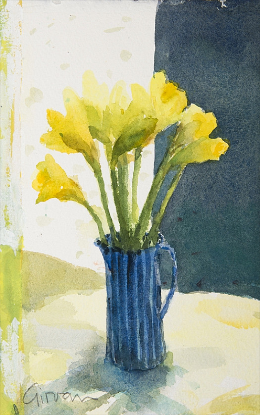 Opening Daffodils