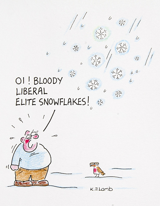 Oi! Bloody Liberal Elite Snowflakes!