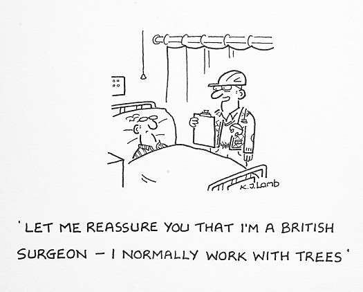 Let Me Reassure You That I'm a British Surgeon - I Normally Work with Trees
