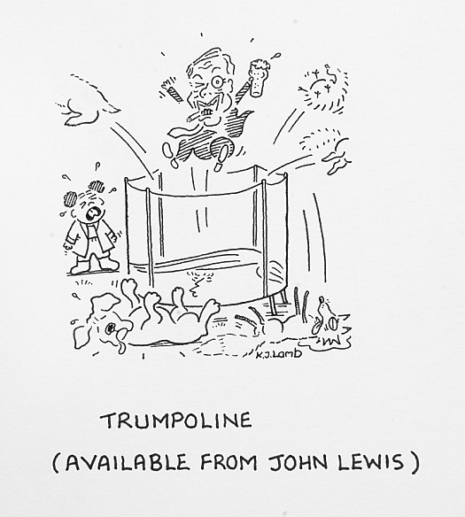 Trumpoline(Available from John Lewis)
