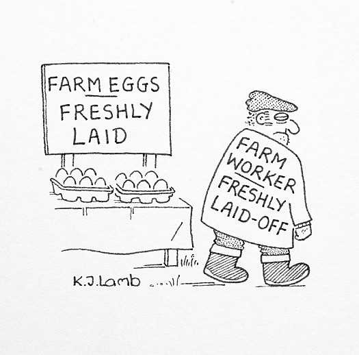 Farm Eggs Freshly LaidFarm Worker Freshly Laid Off