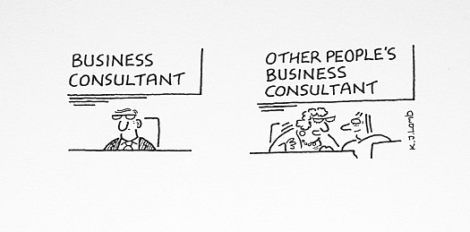 Business ConsultantOther People's Business Consultant