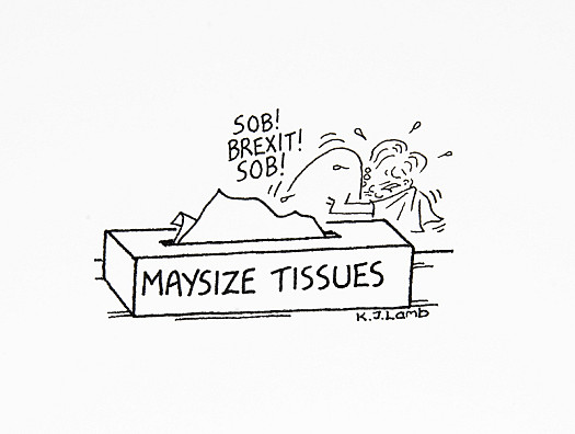 Maysize Tissues