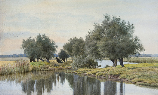 Willows on the Ouse