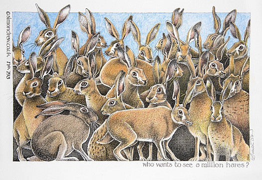 Who Wants to See a Million Hares?