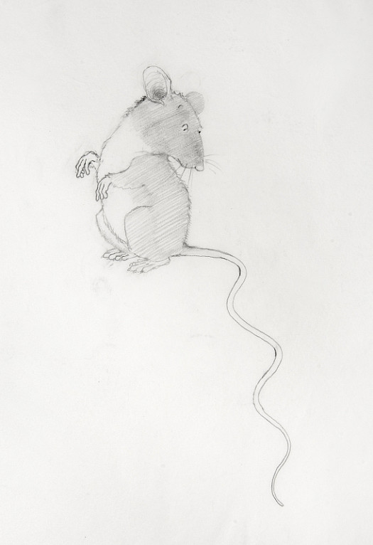 The Mouse's Tail