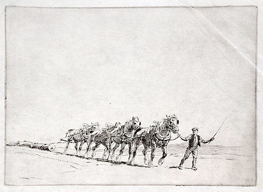 Four Horse Log Team, C1918