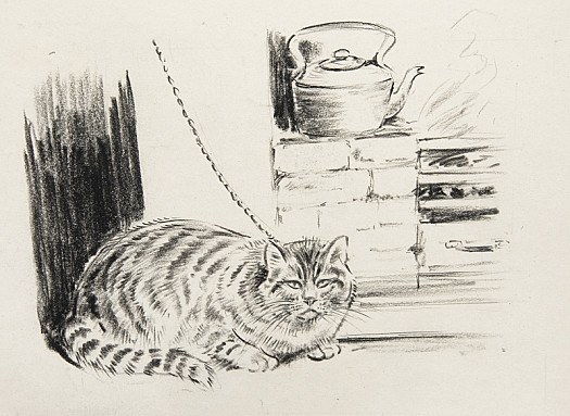A large tabby tom cat
