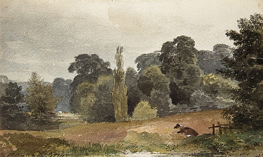In Mr Baring's Grounds &ndash;&nbsp;near Exeter. Coloured on the spot