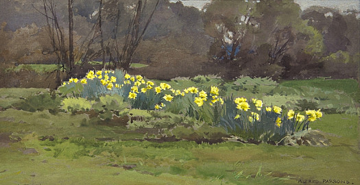 Daffodils, East Hagbourne