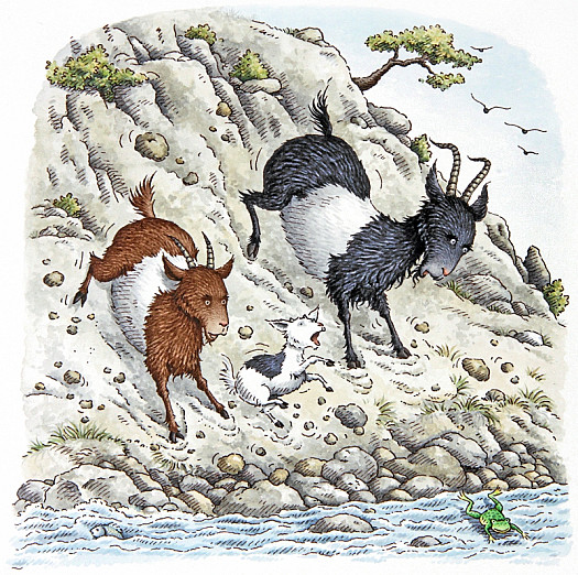 The Three Billy Goats Gruff Started Off Down the Hillside, Slowly At First, then Faster and Faster as It Became a Race to the Bottom