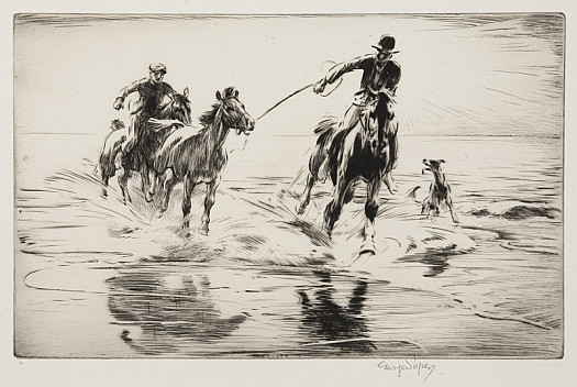 A Gallop In the Surf