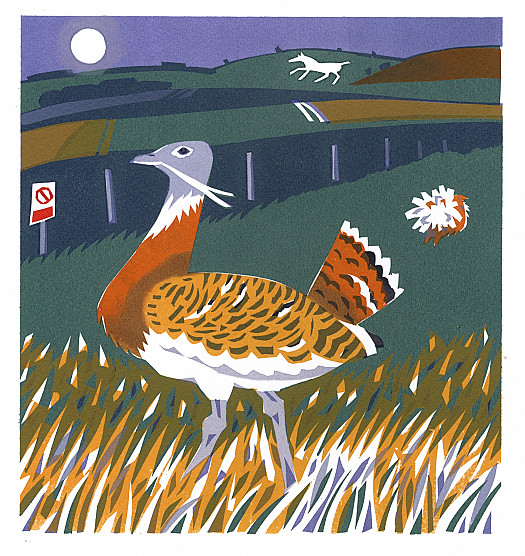 The Great Bustard