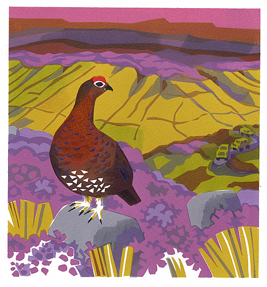 The Red Grouse