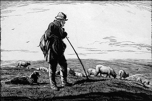 A Southdown Shepherd, 1937