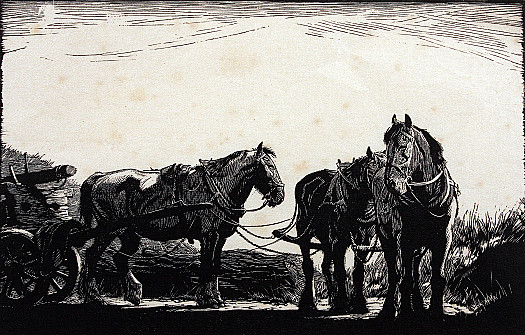 Three Horses Resting In Shafts, C1938