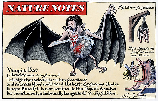 Nature Notes
Vampire Bat