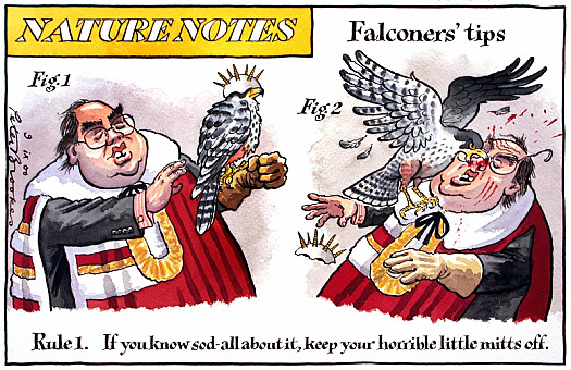 Falconers' Tips