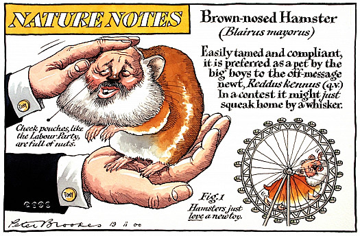 Nature Notes
Brown-Nosed Hamster