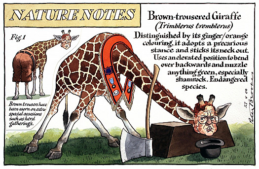 Brown-Trousered Giraffe