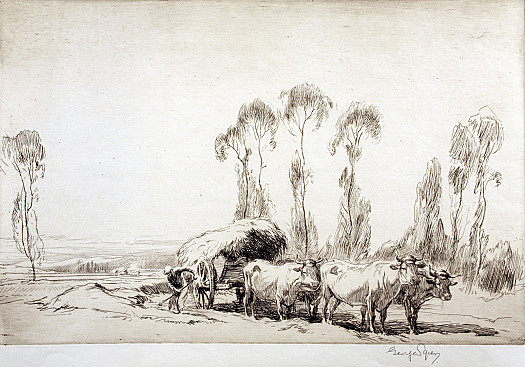 Normandy Oxen, 1927