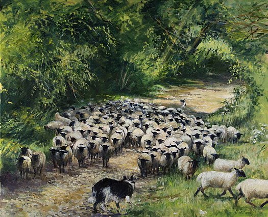Rounding Up Sheep, Hidcote