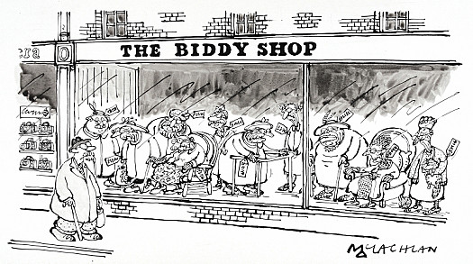 The Biddy Shop