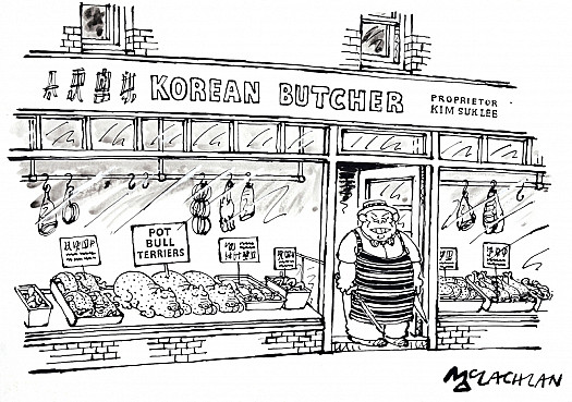 Korean Butcher
