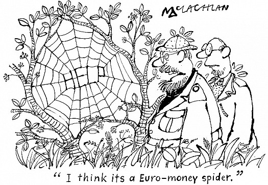 &quot;I Think Its a Euro - Money Spider.&quot;