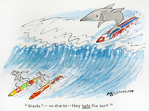 Sharks? &ndash; No Sharks &ndash; They Hate the Surf