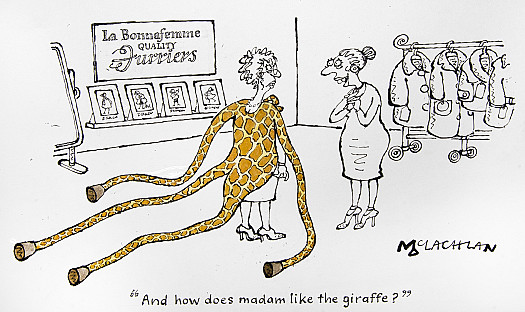 And how does madam like the giraffe?