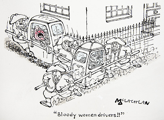 Bloody women drivers!!