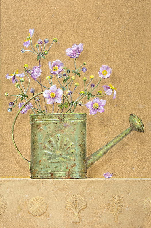 Watering Can and Japanese Anenomes