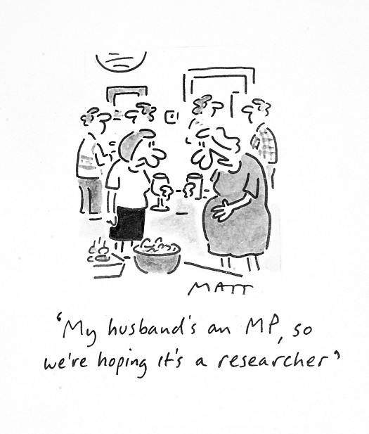 My Husband's an Mp, so We're Hoping It's a Researcher