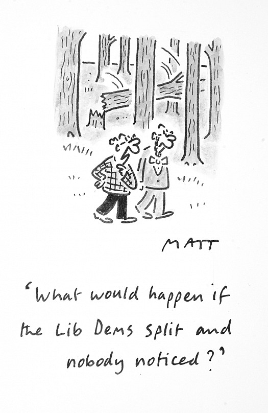 What Would Happen if the Lib Dems Split and Nobody Noticed?