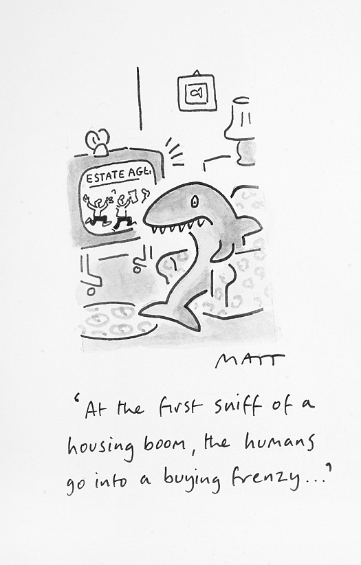 At the First Sniff of a Housing Boom, the Humans Go Into a Buying Frenzy...