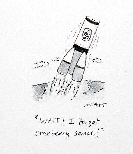 Wait! I Forgot Cranberry Sauce!