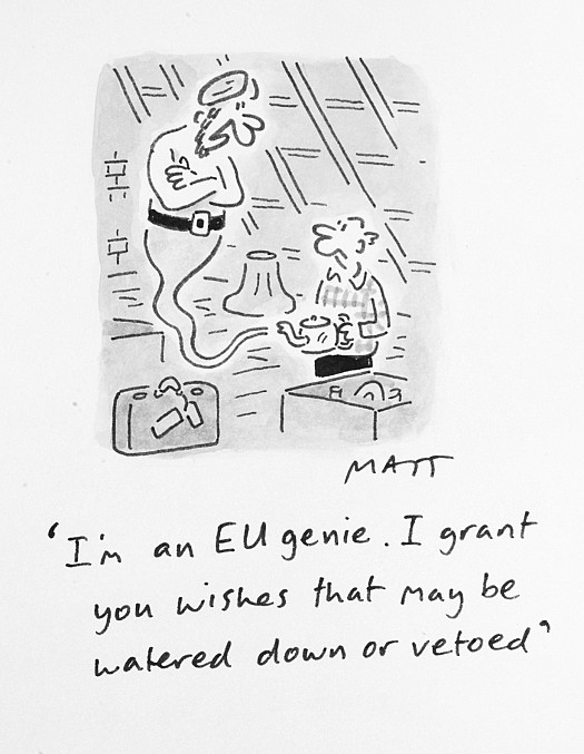 I'm an Eu Genie. I Grant You Wishes That May Be Watered Down or Vetoed