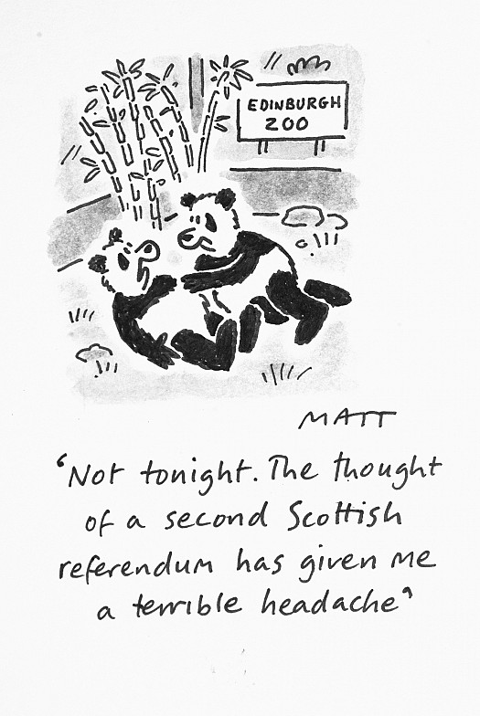 Not Tonight. the Thought of a Second Scottish Referendum Has 
Given Me a Terrible Headache