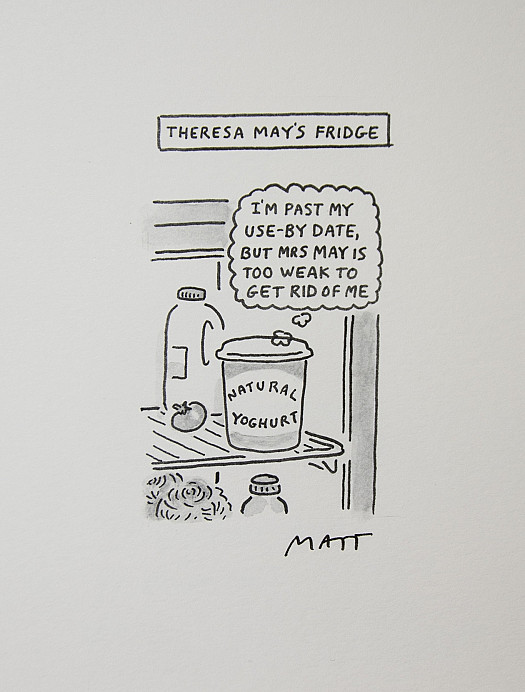 Theresa May's FridgeI'm Past My Use-by Date, but Mrs May Is Too Weak to Get Rid of Me