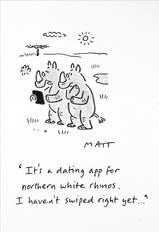 It's a Dating App For Northern White Rhinos. I Haven't Swiped Right Yet...