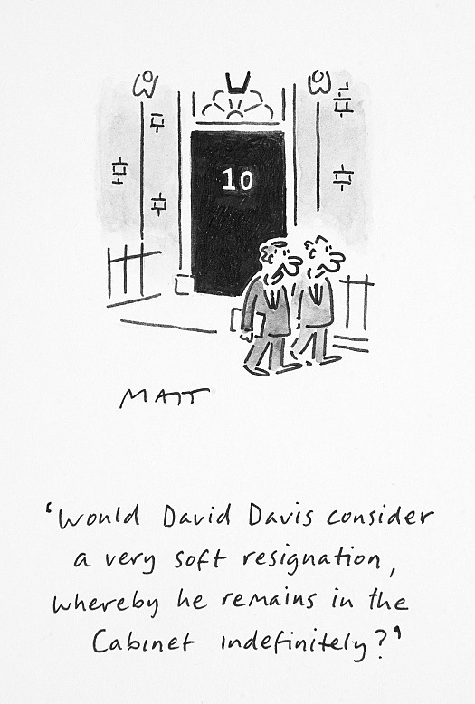 Would David Davis Consider a Very Soft Resignation, Whereby He Remains Inthe Cabinet Indefinitely?