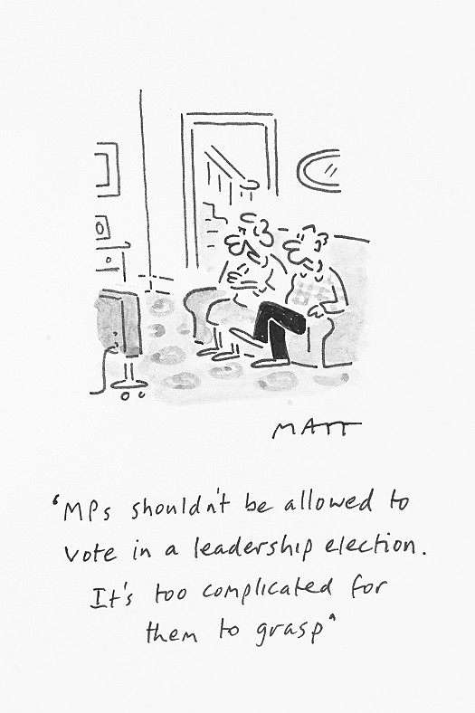 Mps Shouldn't Be Allowed to Vote In a Leadership Election. It's Too Complicated For Them to Grasp