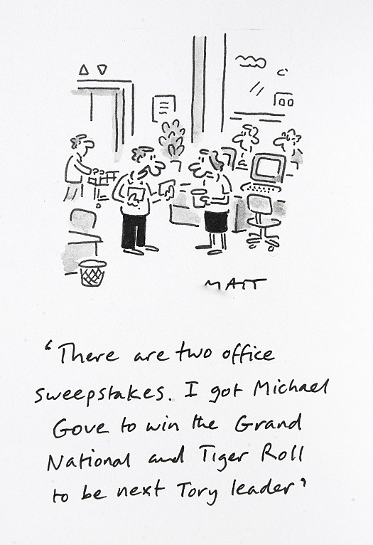 There are two office sweepstakes. I got Michael Gove to win the Grand National and Tiger Roll to be next Tory leader