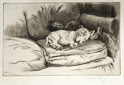 The Gollywog and the Sleeping Puppy, C1927