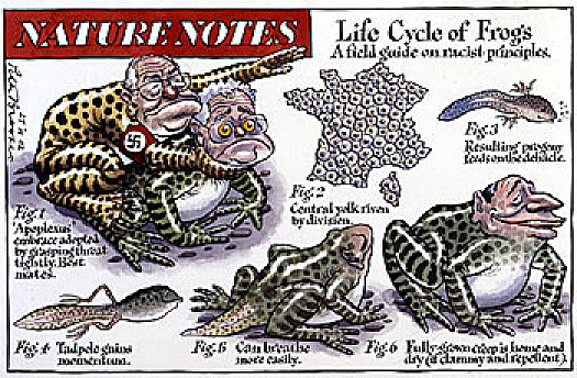 Nature Notes
Life Cycle of Frogs